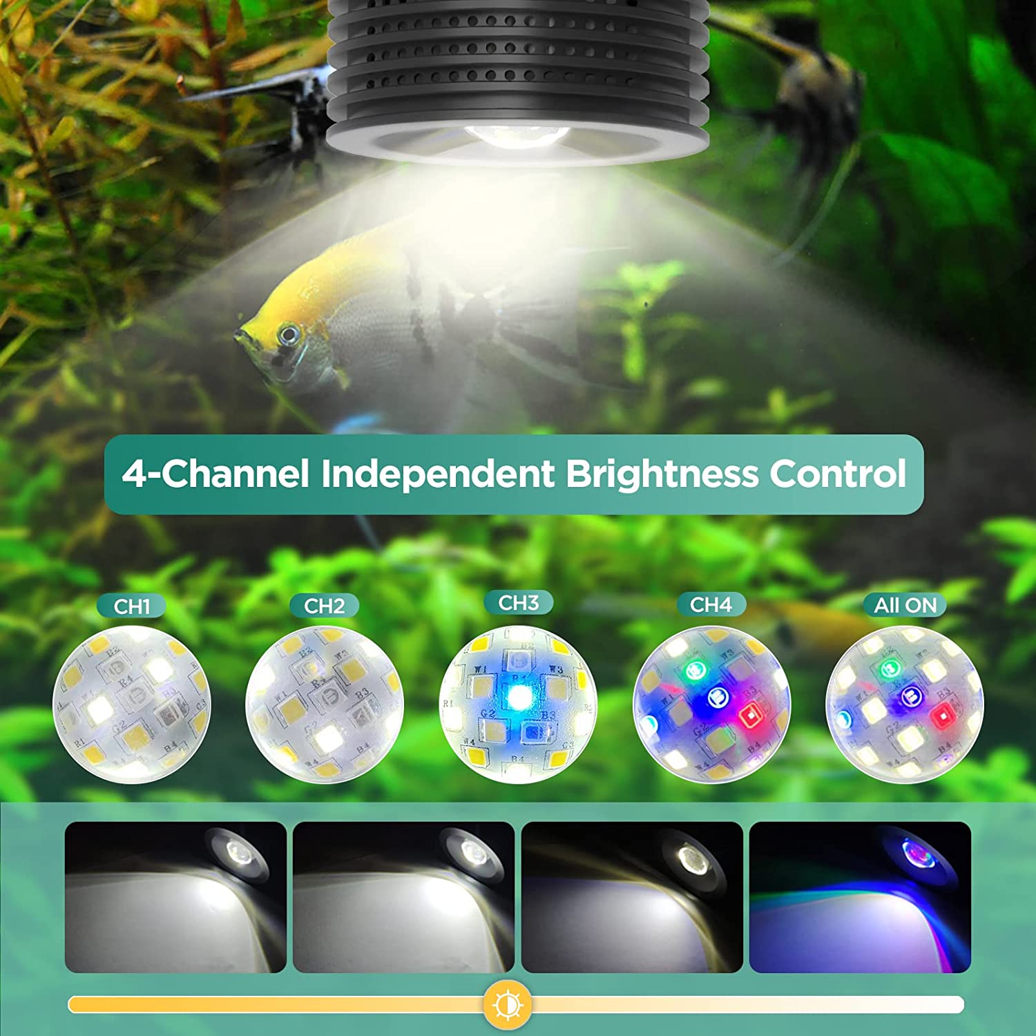 Lominie Asta 20 Freshwater 18W - đánh giá và giá Planted Aquarium Uv Light